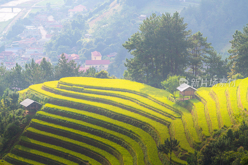 美丽的风景，绿色的稻田准备在越南西北部的梯田日落山在木仓寨，Yen Bai，越南